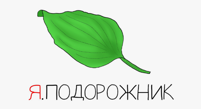 [Антон Маркин] Я.Подорожник (2024)_0.png